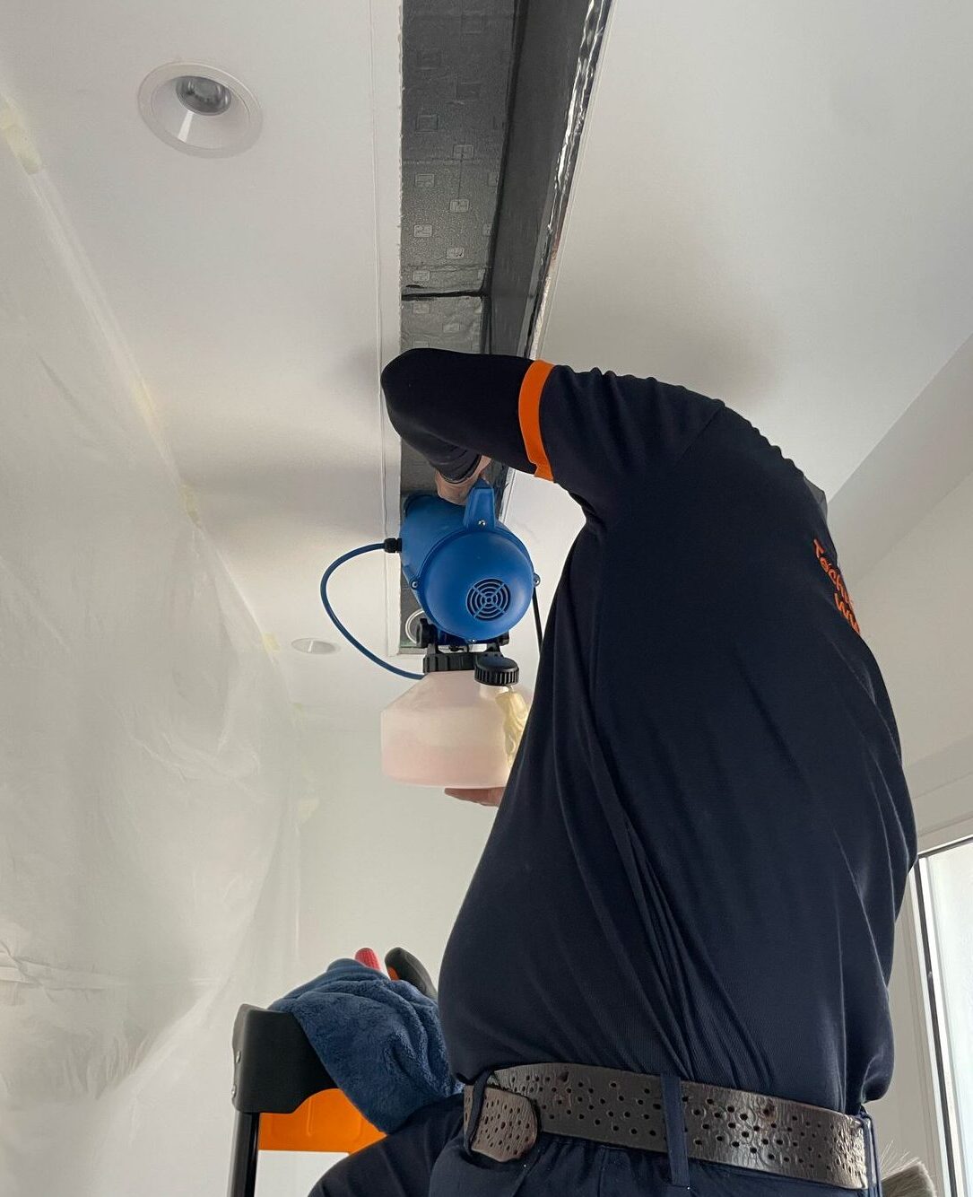 mold removal services in dubai